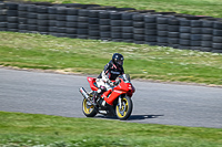 enduro-digital-images;event-digital-images;eventdigitalimages;lydden-hill;lydden-no-limits-trackday;lydden-photographs;lydden-trackday-photographs;no-limits-trackdays;peter-wileman-photography;racing-digital-images;trackday-digital-images;trackday-photos